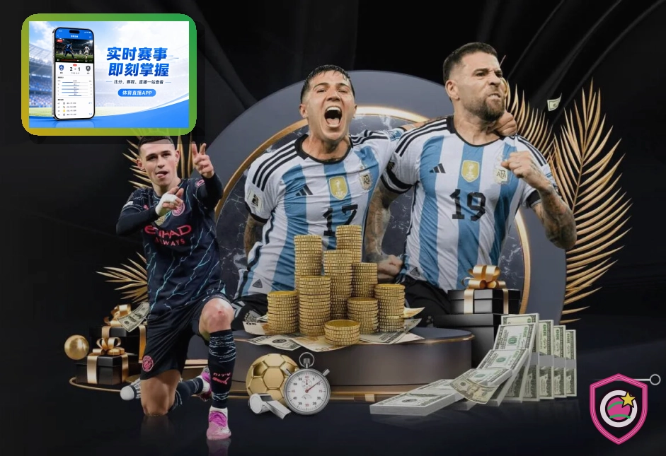 半岛体育综合体育服务展示图